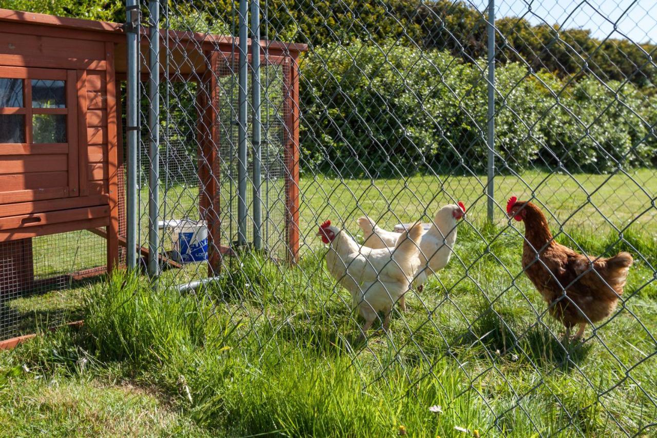 Kilmore Self - Catering * Kilmore Quay