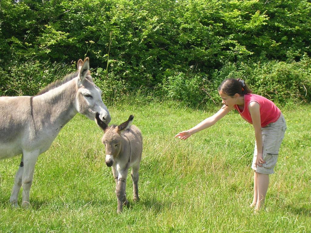 Kilmore Self - Catering Kilmore Quay